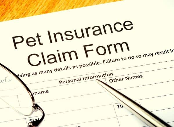 Pet Insurance Form with a pen and glasses