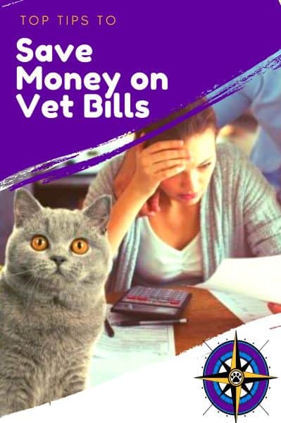 Pin for How to Save Money on Vet Care
