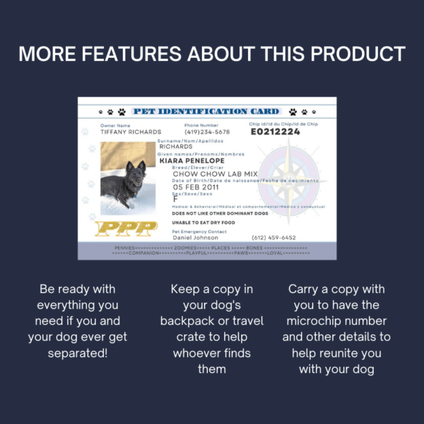 Pet Travel ID Card shop Listing Templates- additonal features and uses (crates, harness, wallet, etc)
