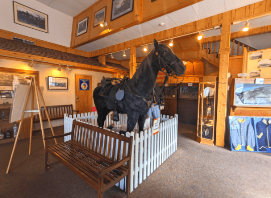 Gettysburg Diorama Lobby  (union soldier and horse surrounded by other civil war artificats)