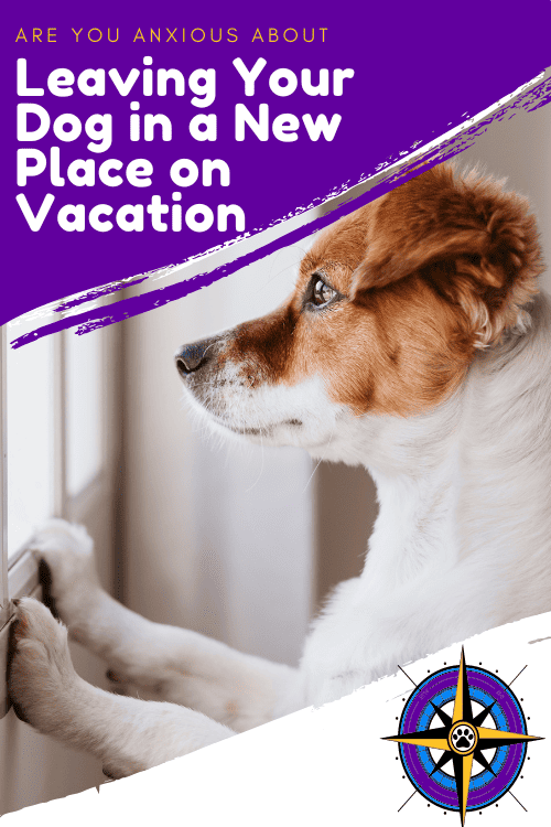 Leaving dog in new place on vacation pin