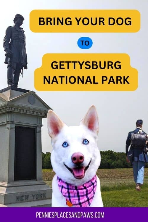 Bring Your Dog To Dog-friendly Gettysburg National Military Park
