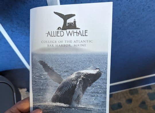 Allied Whale Brochure