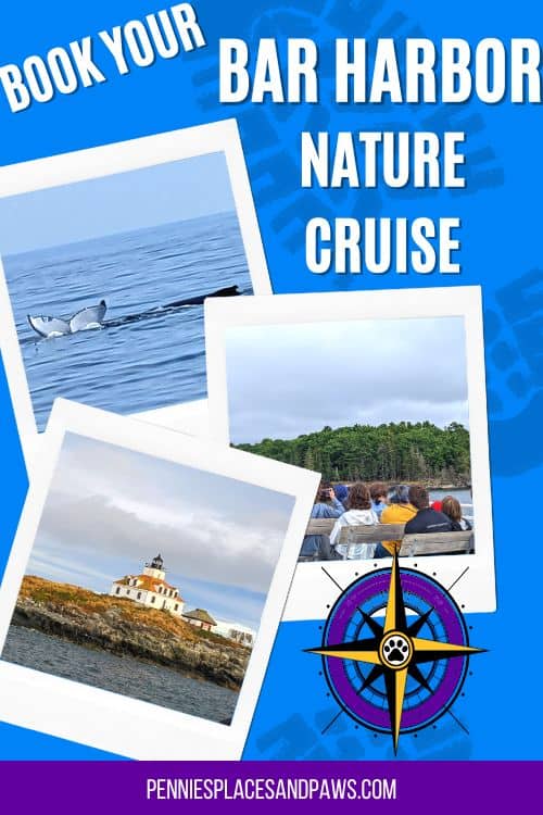 Book Your Bar Harbor Nature Cruise