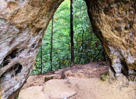 Close up of one of the arches of Angel's Window in the Red River Gorge in Kentucky. The arch frames a bright green forest.