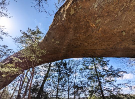 View from under an arch in Red River Gorge