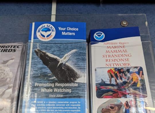 Whale Sense and Marine Mammal Stranding Response Network Brochures displayed