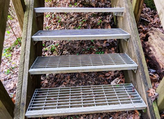 metal staircase on the trails in Red River Gorge