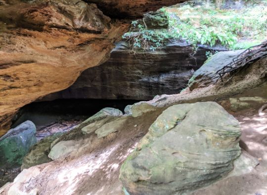 sandstone  in Red River Gorge