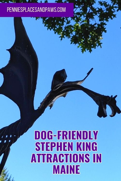 Dog friendly Stephen King Attractions In Maine pin