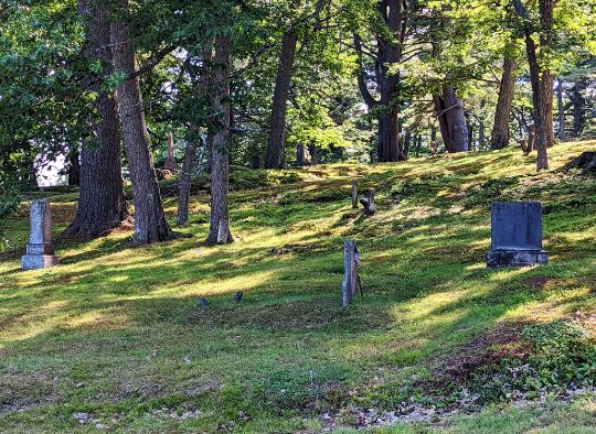 Gravestones in Hope Cemetery
