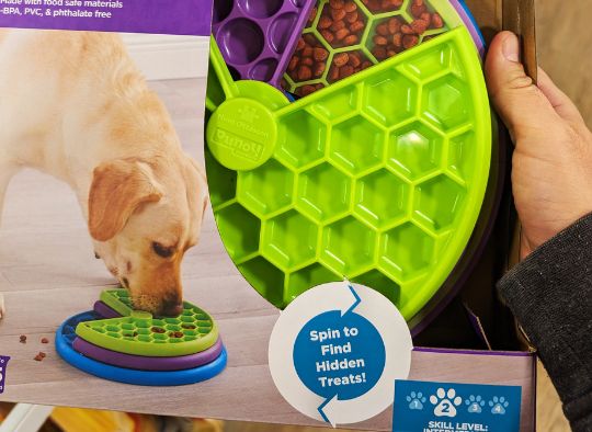 Level 2 Puzzle feeder in a box; dog food enrichment