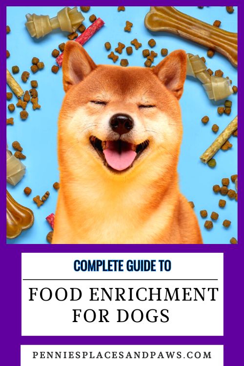 Complete guide to food enrichment for dogs pin