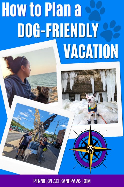 pin for how to plan a dog friendly vacation
