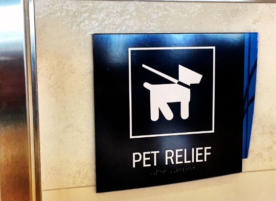 Pet relief sign in airport