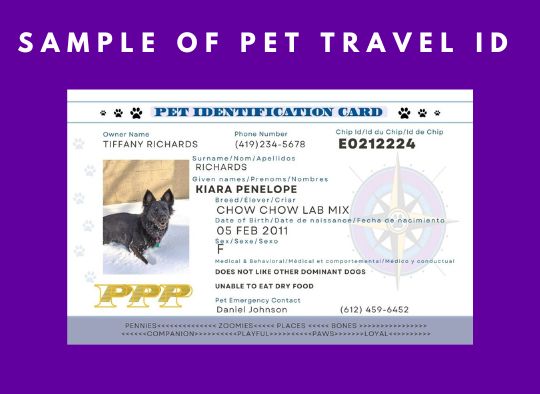 Sample of a Pet Travel ID