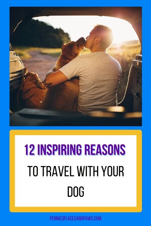 12 Inspiring Reasons to Travel With Your Dog Pin