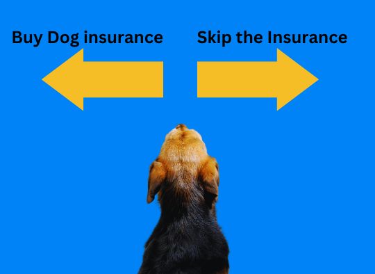 Buy Dog insurance vs Skip the Insurance