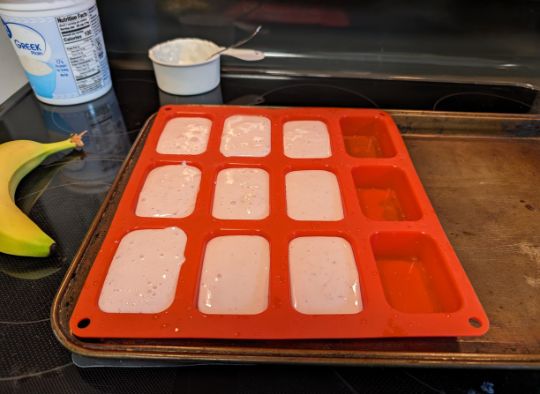 Dog Ice Cream Treats in a silicone mold