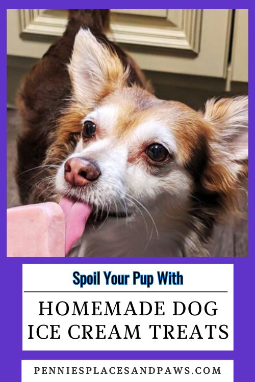 Spoil Your Pup With Homemade Dog Ice Cream Treats pin