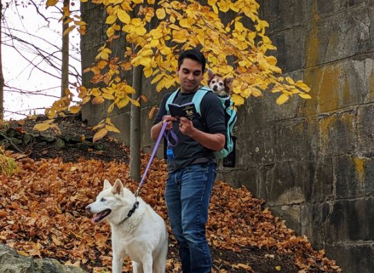 Man with dog in backpack carrier and another on leash