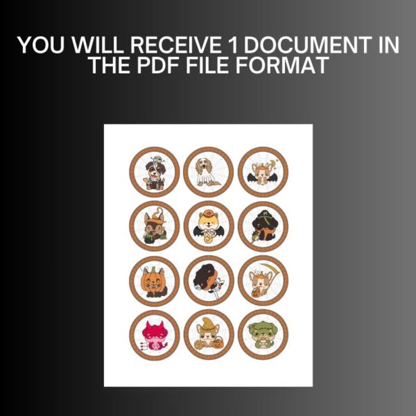 YOU WILL RECEIVE 1 DOCUMENT IN THE PDF FILE FORMAT