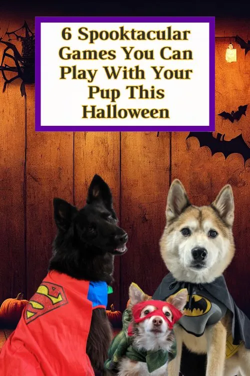 Halloween Games For Dogs pin