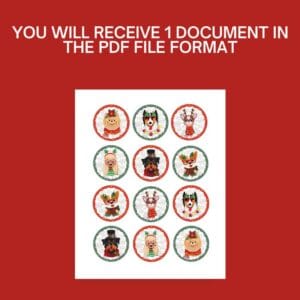 YOU WILL RECEIVE 1 DOCUMENT IN THE PDF FILE FORMAT