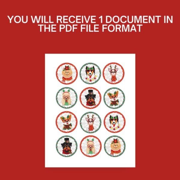 YOU WILL RECEIVE 1 DOCUMENT IN THE PDF FILE FORMAT