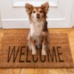 small dog on welcome mat