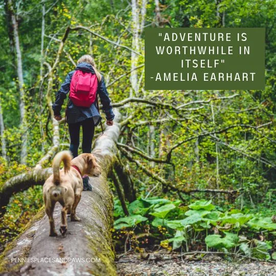"Adventure is worthwhile in itself"