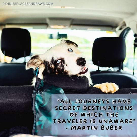 "All journeys have secret destinations of which the traveler is unaware"- Martin Buber