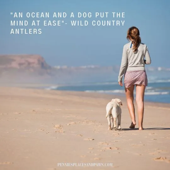 "An ocean and a dog put the mind at ease"- Wild Country Antlers