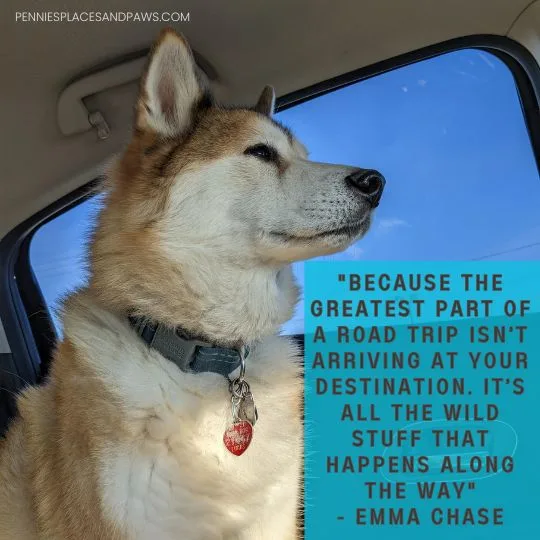 "Because the greatest part of a road trip isn’t arriving at your destination. It’s all the wild stuff that happens along the way"- Emma Chase