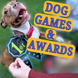 Dog Games, Activities, and Awards
