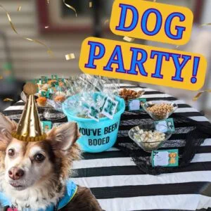 Dog Party Decorations, Gift Tags, and More