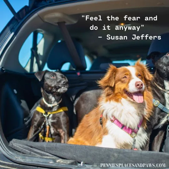 "Feel the fear and do it anyway" - Susan Jeffers