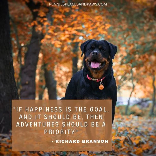 "If happiness is the goal, and it should be, then adventures should be a priority"