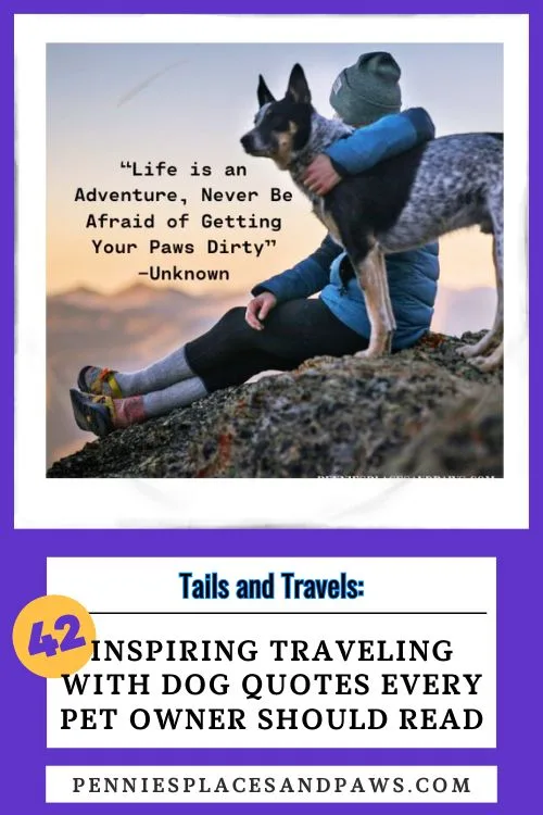 Inspiring Traveling With Dog Quotes Every Pet Owner Should Read Pin