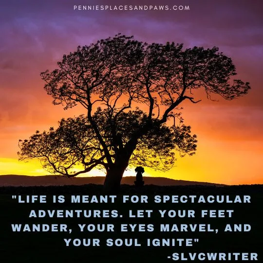 "Life is meant for spectacular adventures. Let your feet wander, your eyes marvel, and your soul ignite"