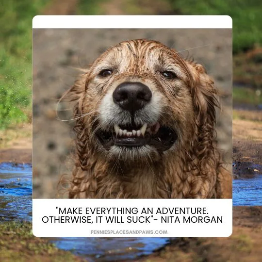 "Make everything an adventure. Otherwise, it will suck"- Nita Morgan