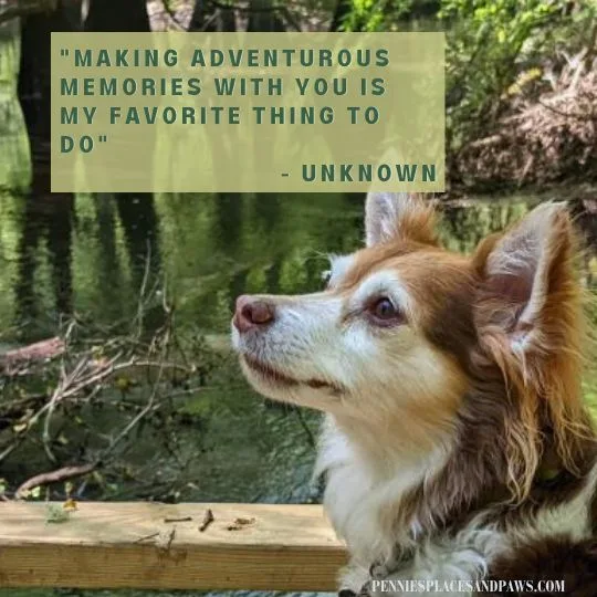 "Making adventurous memories with you is my favorite thing to do"