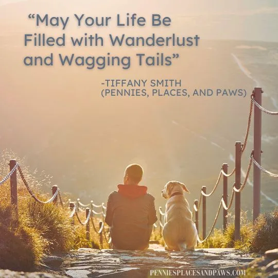 _“May Your Life Be Filled with Wanderlust and Wagging Tails”