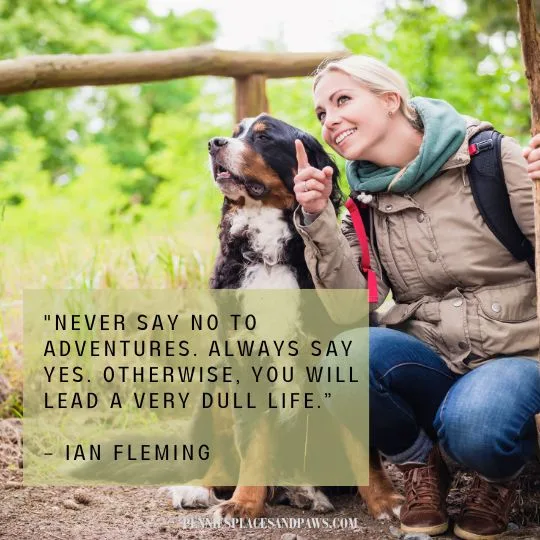 "Never say no to adventures. Always say yes. Otherwise, you will lead a very dull life.”
