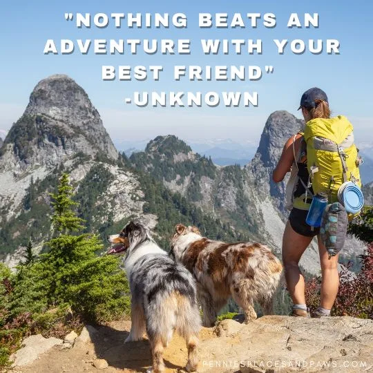 "Nothing beats an adventure with your best friend"