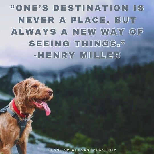 “One’s destination is never a place, but always a new way of seeing things.” -Henry Miller