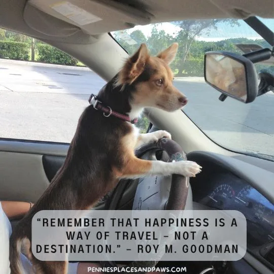 “Remember that happiness is a way of travel – not a destination.” – Roy M. Goodman