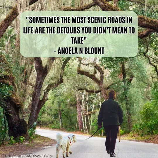 "Sometimes the most scenic roads in life are the detours you didn’t mean to take"- Angela N Blount