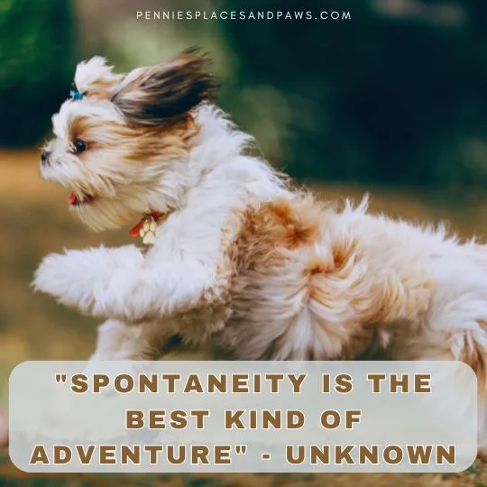 "Spontaneity is the best kind of adventure" - Unknown