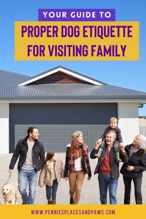 The Essential Handbook on Proper Dog Etiquette for Visiting Family pin